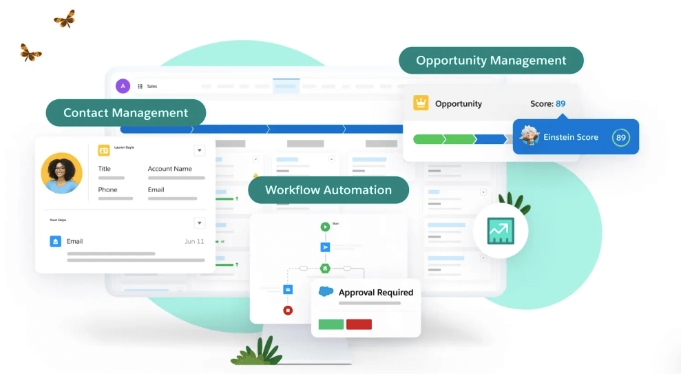 CRM & Otomasyon Kurulumu